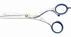 Jaguar Evolution 5,75