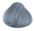 La Riche Silver